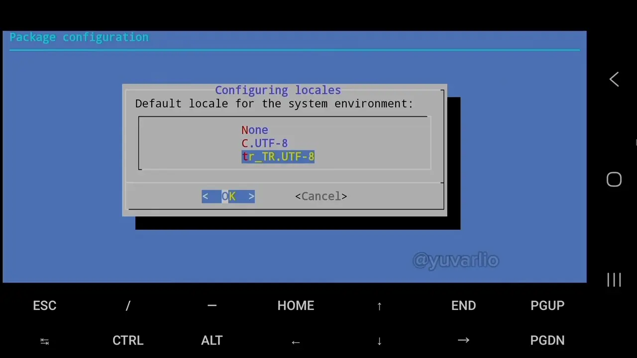 Ubuntu Locales Türkçe dilini seçme