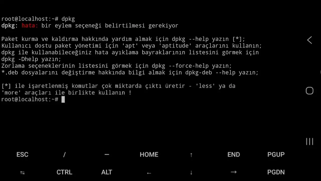 dpkg Türkçe çıktısı